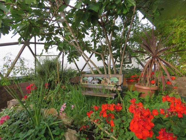 Small wooden bench with safari animals in the center of a greenhouse garden