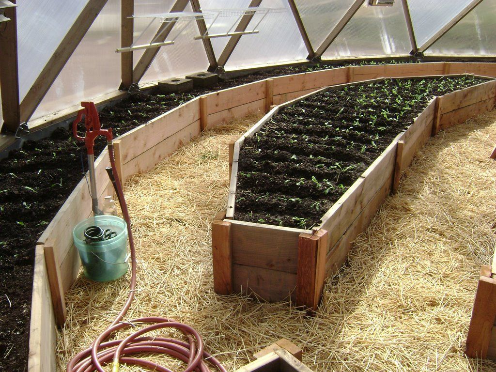 rich soil and seedlings in raised beds within the growing dome greenhouse