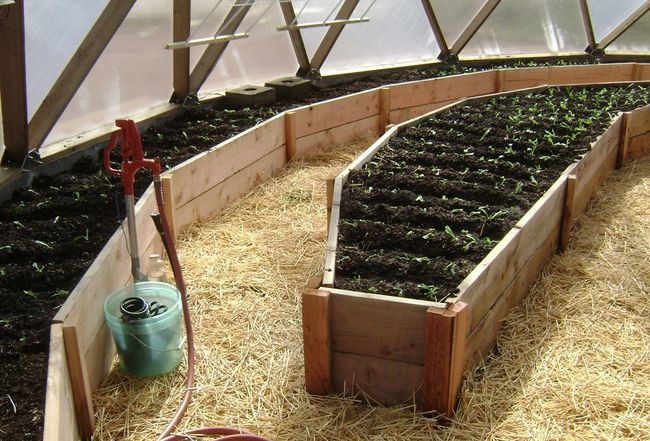 rich soil and seedlings in raised beds within the growing dome greenhouse