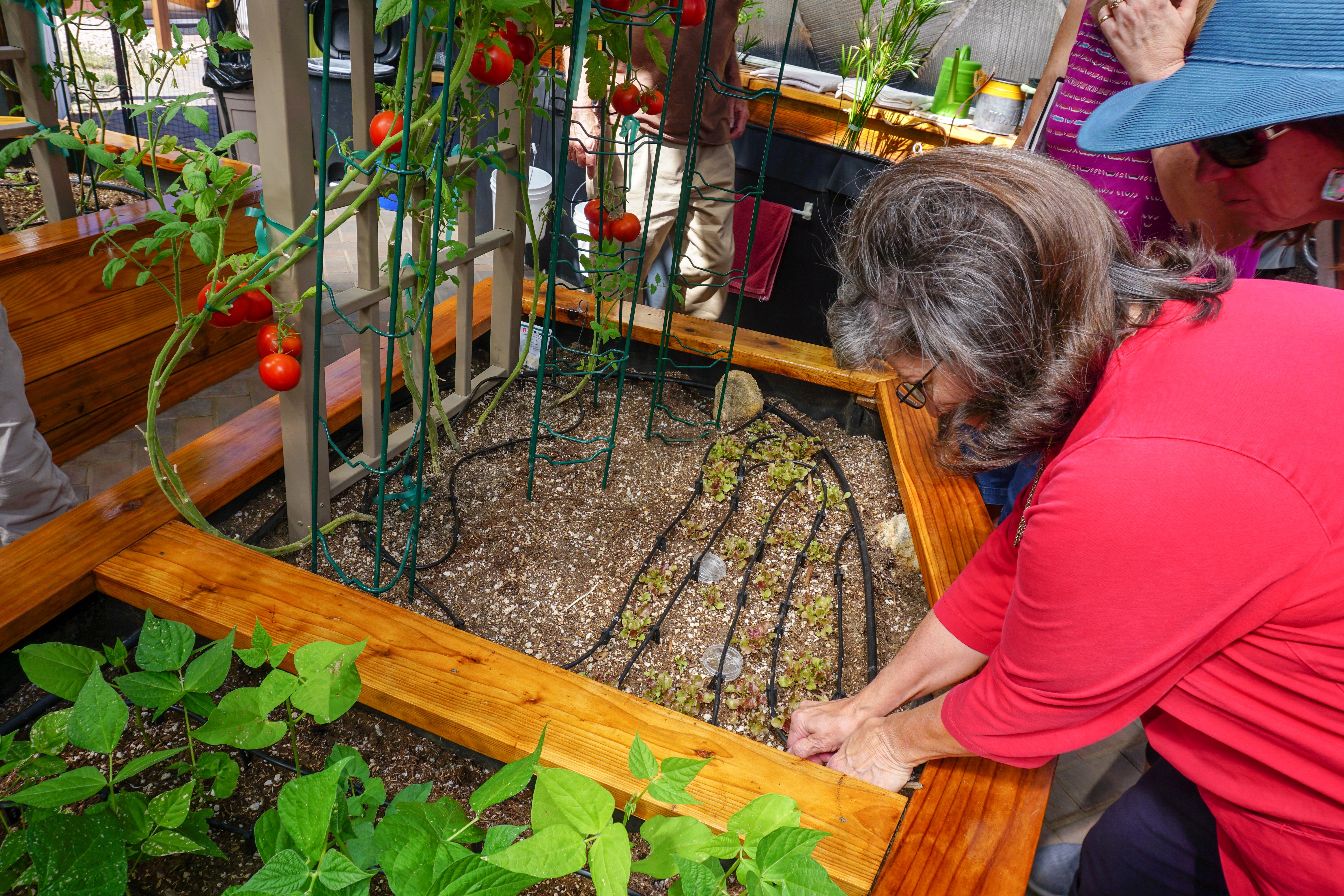 Woman showing how an irrigation system works to friends gathered around her