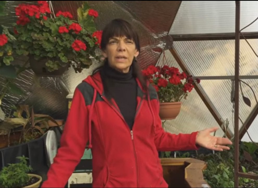 winter gardening claudia 2