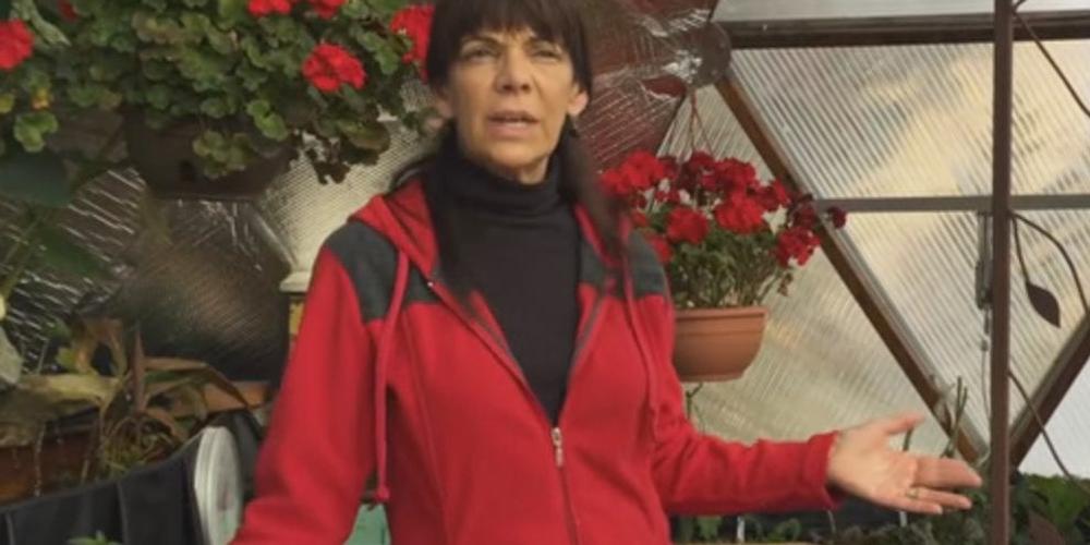 winter gardening claudia 2