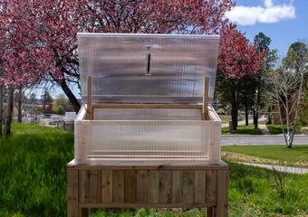 Cold frame on an elevated frame with the lid open and a cherry tree in bloom in the background