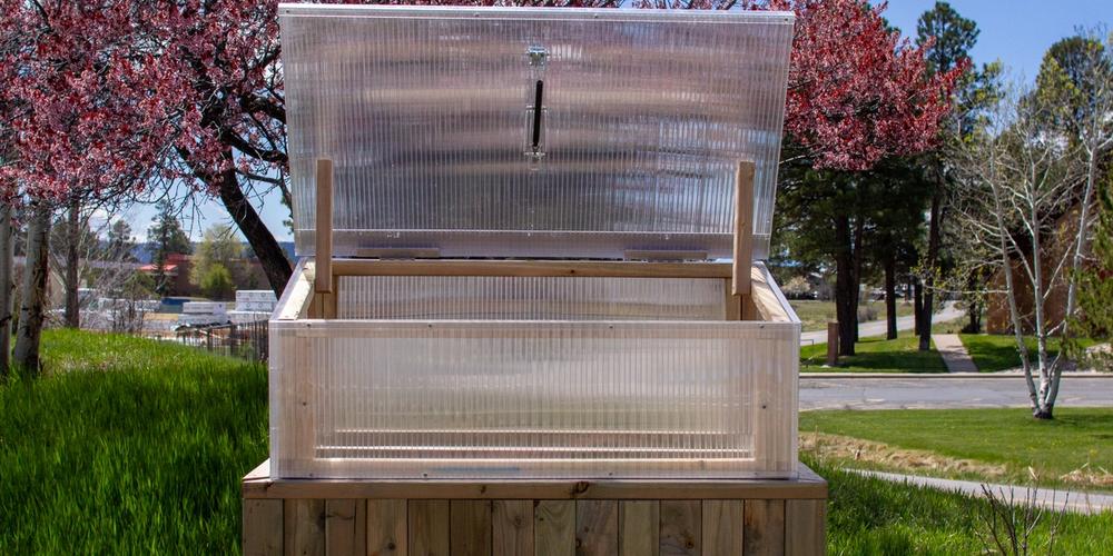 Cold frame on an elevated frame with the lid open and a cherry tree in bloom in the background