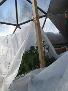 wood pole shown holding up row cover