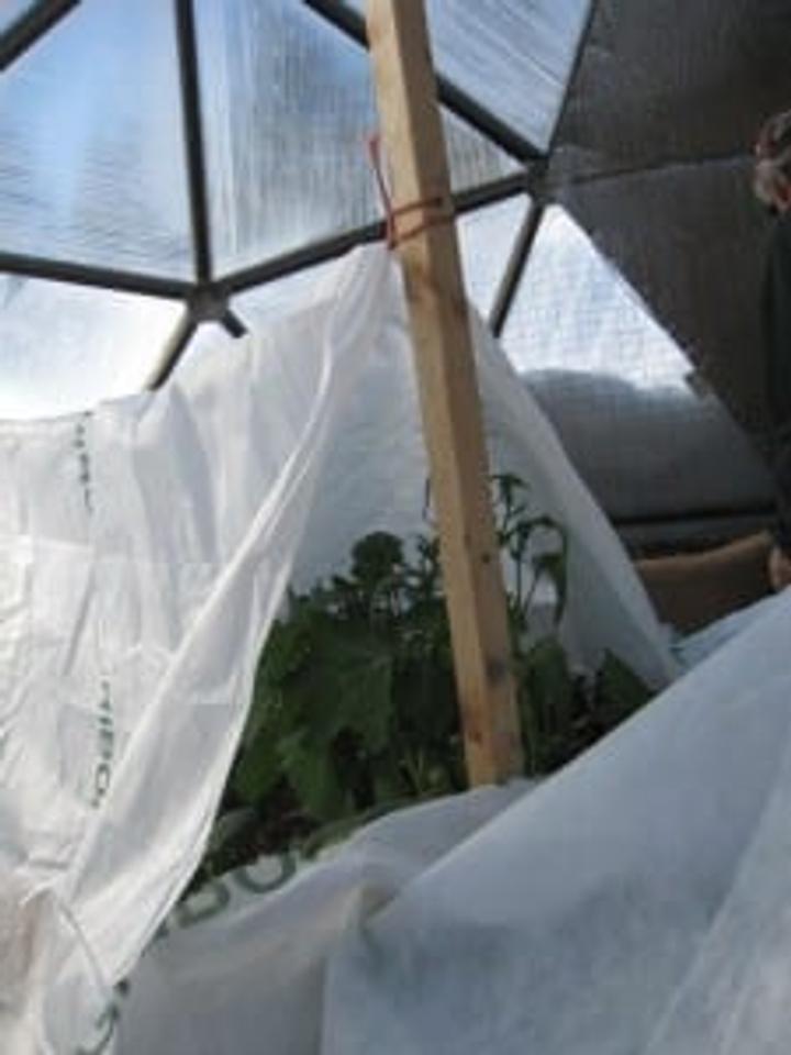 wood pole shown holding up row cover