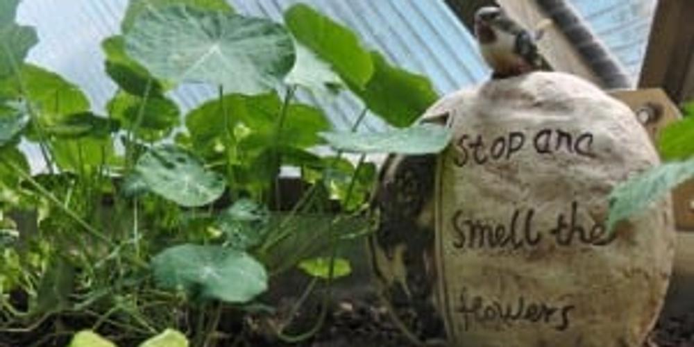 Nurturing Families in Our Community image