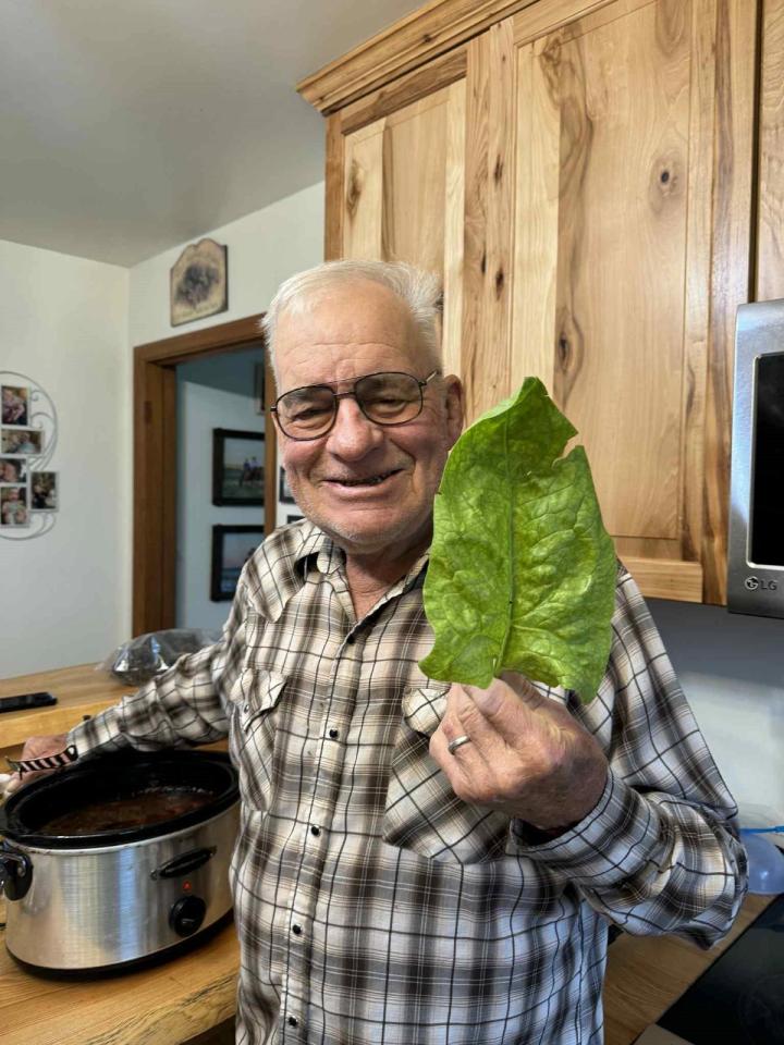 Jonathan Nielson holding up large green leaf in his kitchen