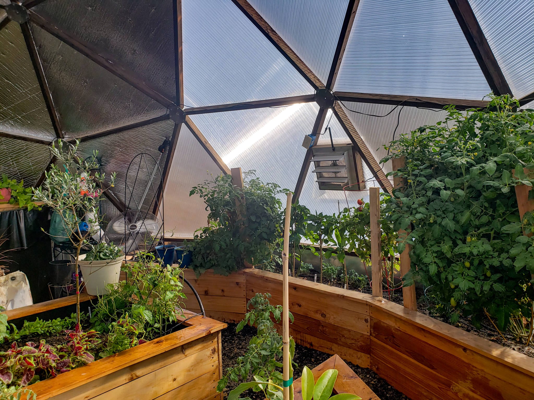 raised beds
