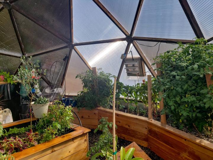 raised beds