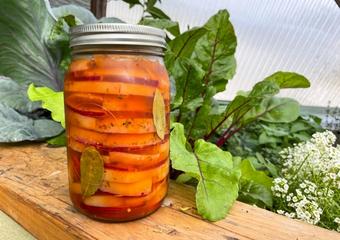 pickled_beets_layered_jar