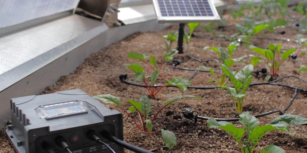 WaterIrrigation