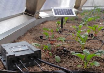 WaterIrrigation