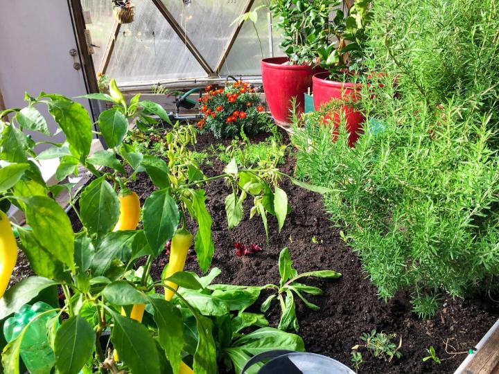 dome garden