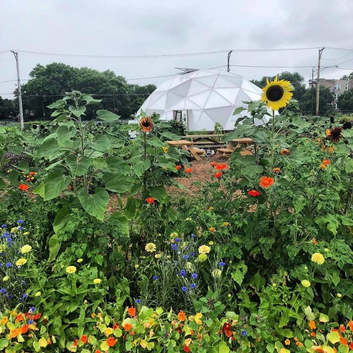 Lush outdoor garden surrounding a Growing Dome greenhouse