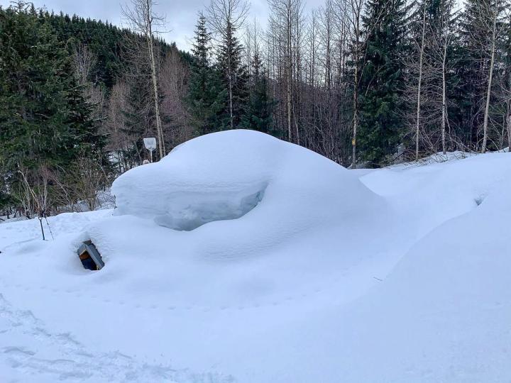 growing vegetables in alaska