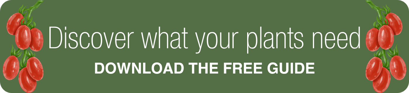 Discover what your plants need—download free plant nutrition guide