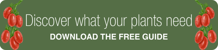 Discover what your plants need—download free plant nutrition guide
