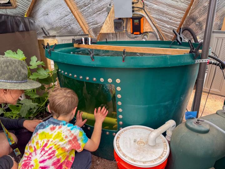 Young boy and his mom kneeling down in front of an aquaponics tank viewing tilapia through a window