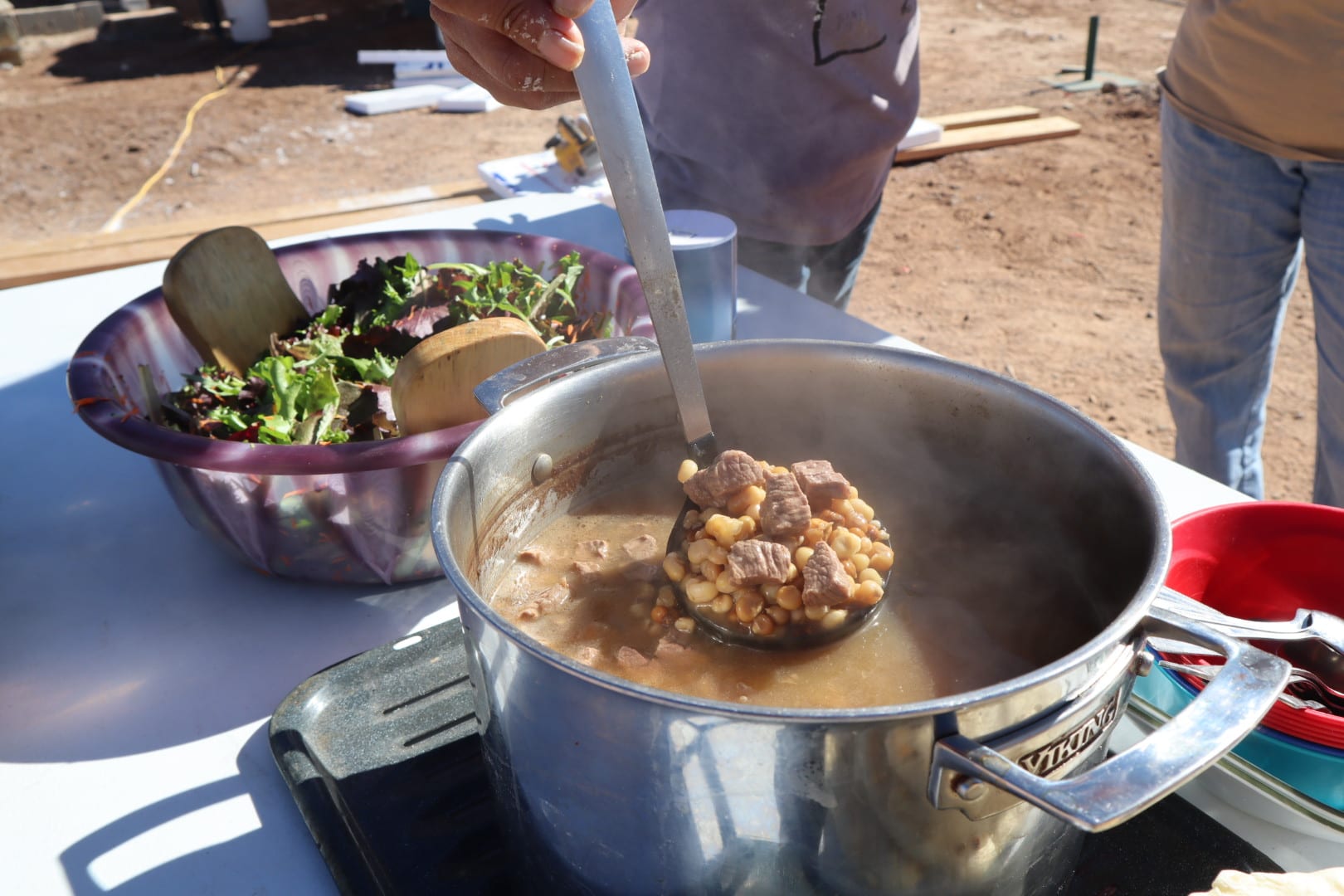 Mutton stew and salad