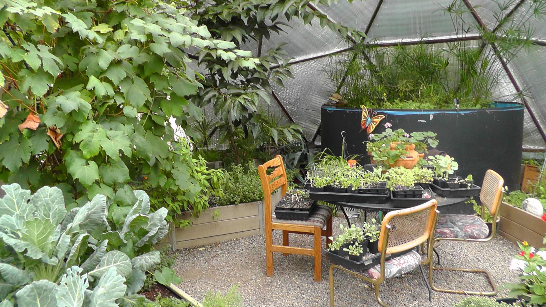 Kansas Greenhouses image