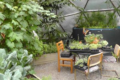 Kansas Greenhouses image