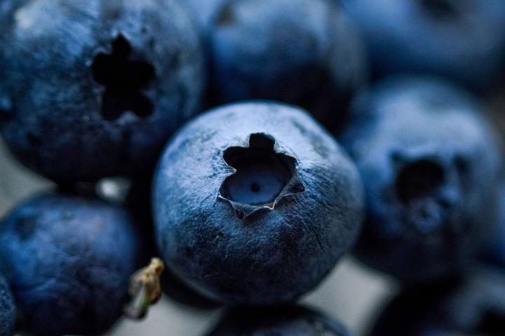 close-up of blueberries showing the star shape on the fruit
