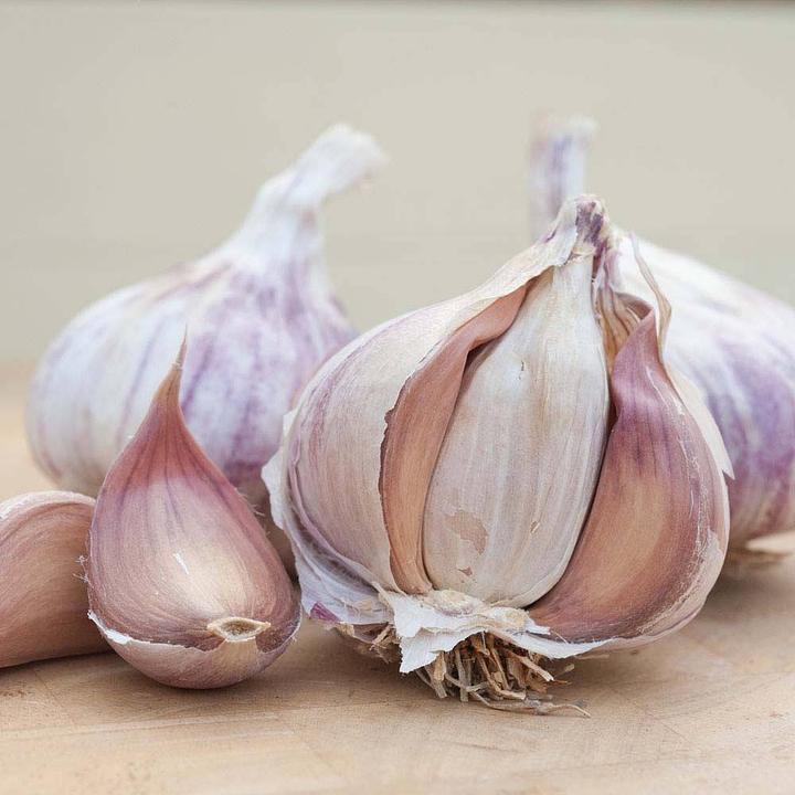 Garden Herbs for Flu - raw garlic
