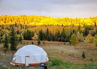 Fall Plants for Winter Gardening