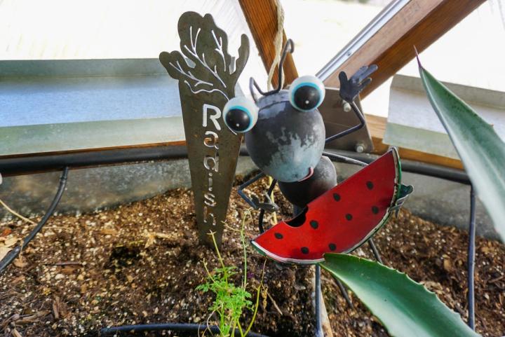 custom garden tag in greenhouse