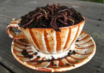 27ab0dd8846b21aa4a8ba646093e2e9a–worm-castings-worm-farm