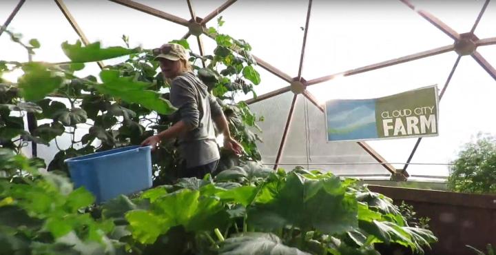 Cloud City Conservation Center Grow Dome from Growing Spaces