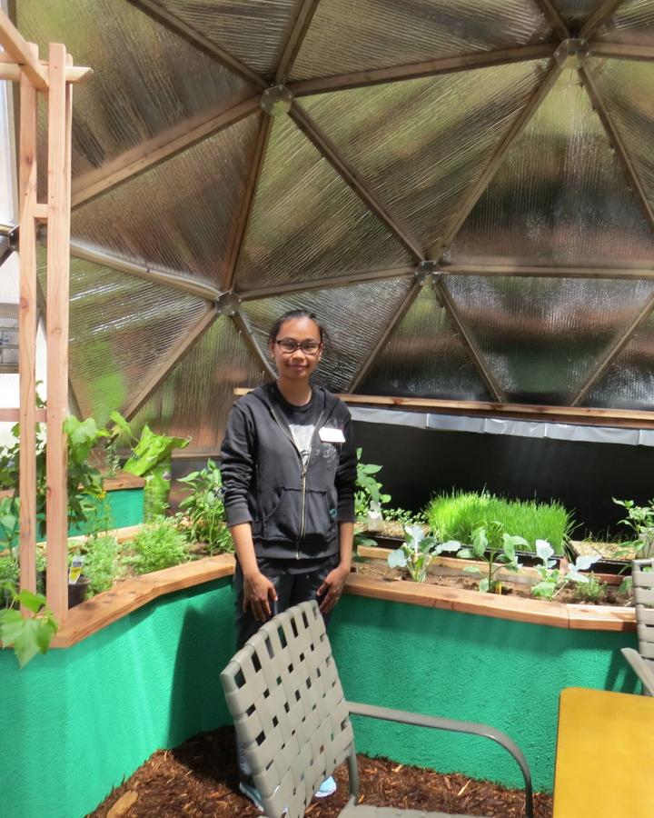 sunshine gardens gardener in the greenhouse