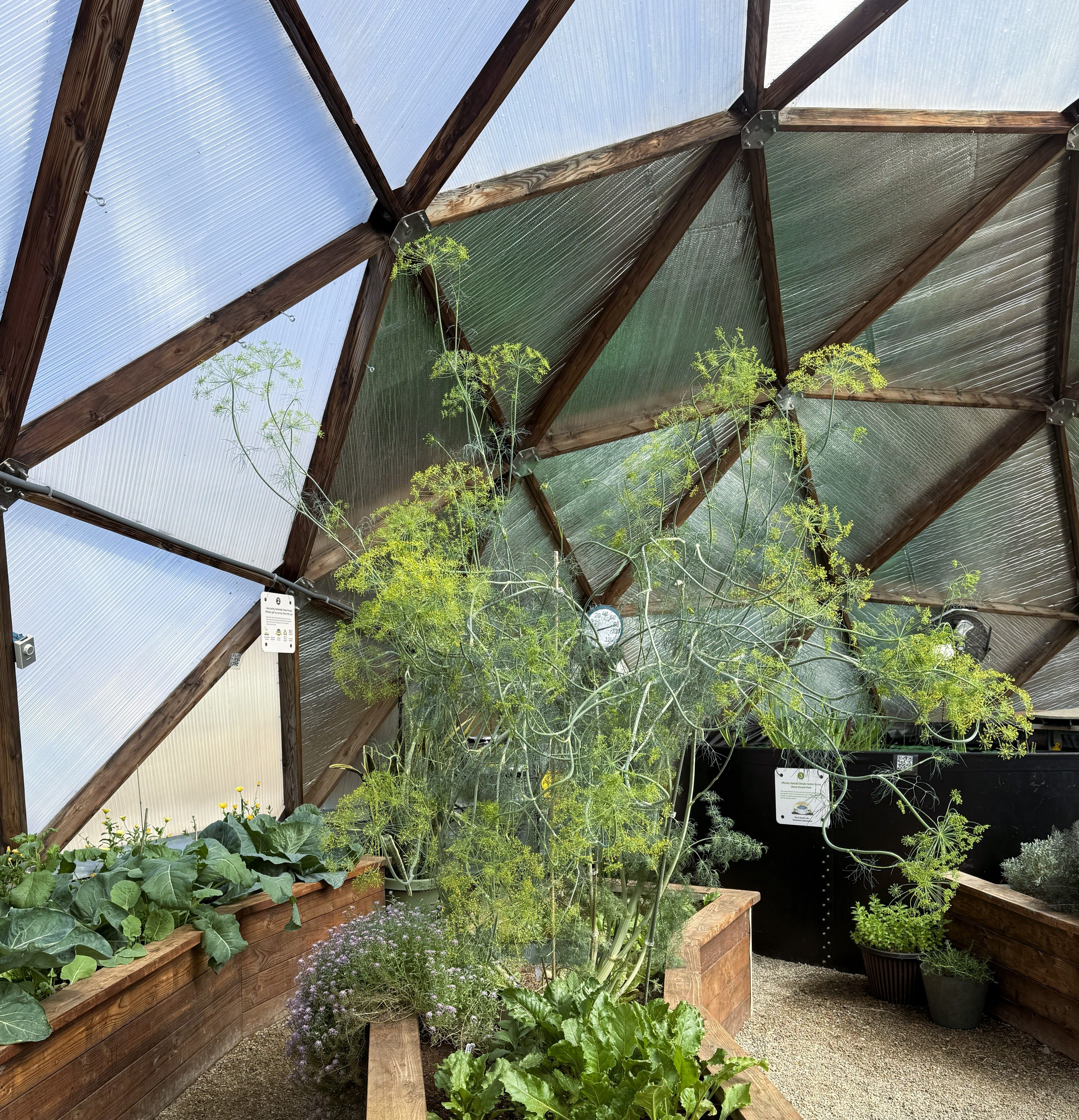 interior view of growing dome glazing and reflectix with plants