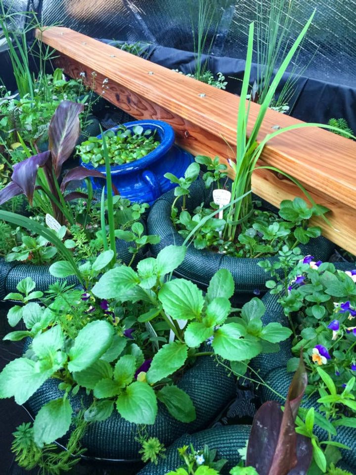 Floating Pond Planters