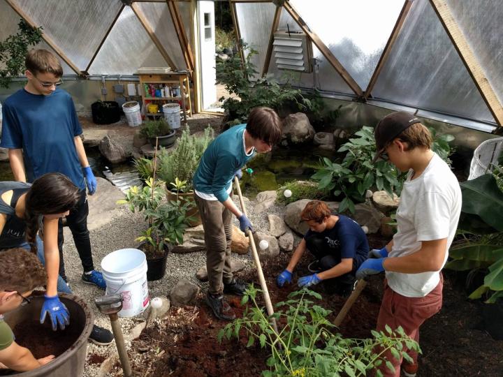 building beds in tropical greenhouse