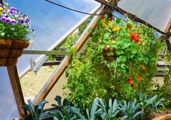 Interior of a Growing Dome greenhouse with healthy plants and ventilation features