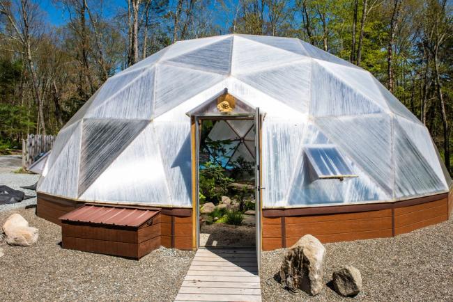 tropical plants inside a 42 foot Growing Dome in the catskills