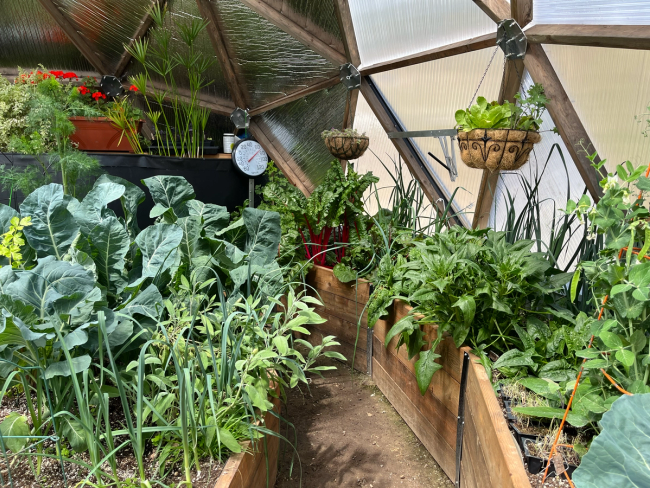 Raised garden beds overflowing with winter crops inside a geodesic Growing Dome greenhouse