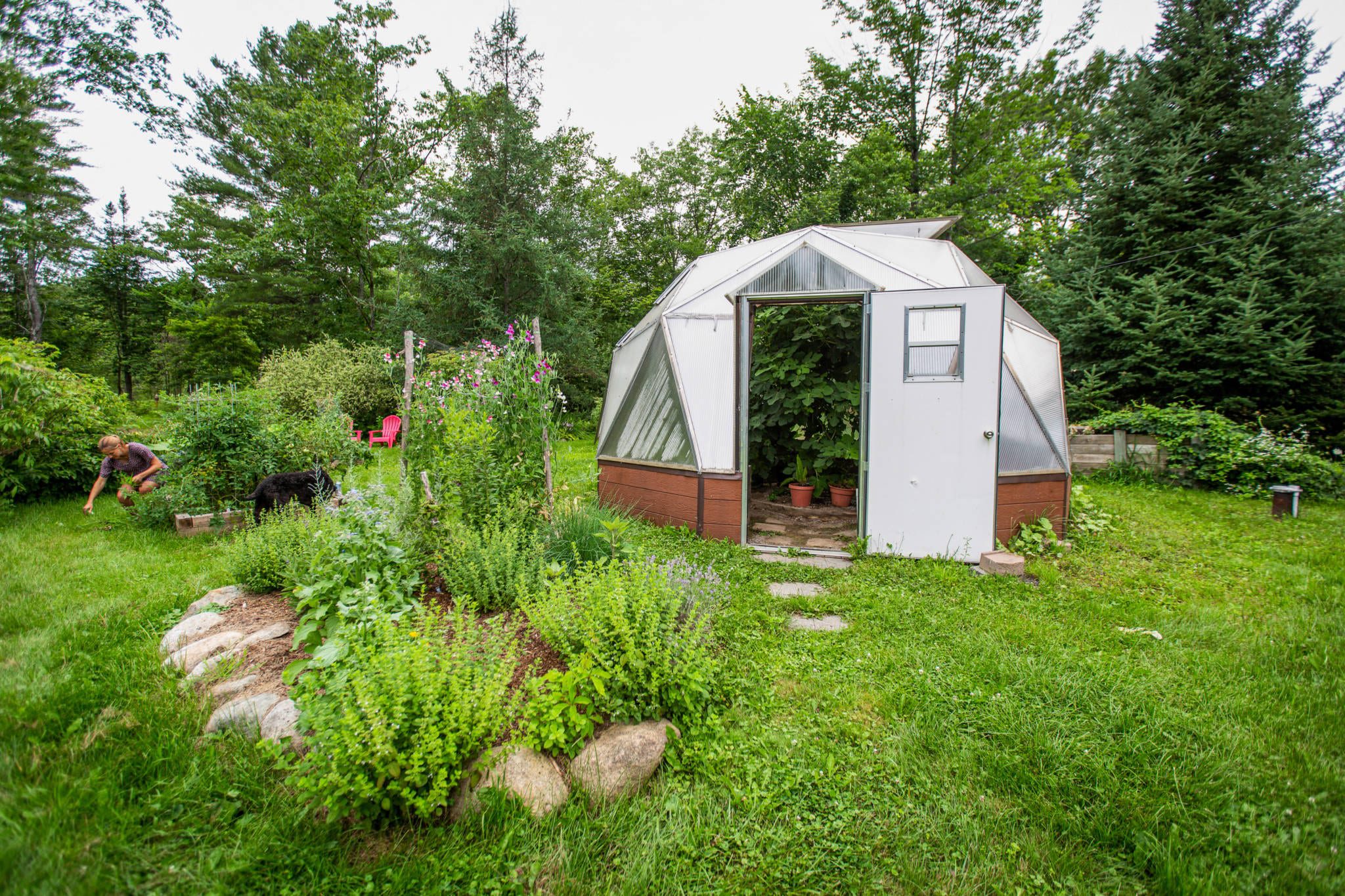 Maine Growing Dome in spring green forest