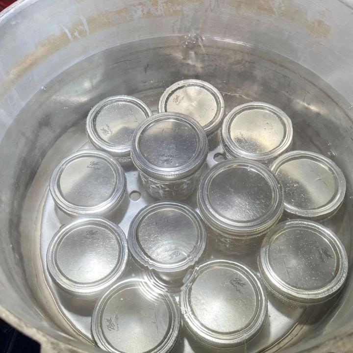 jars in a water bath canner