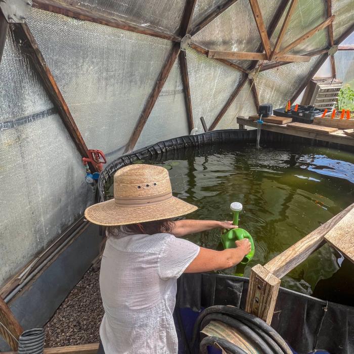 Gardener filling a watering can with water from the above ground pond in a 33' growing dome