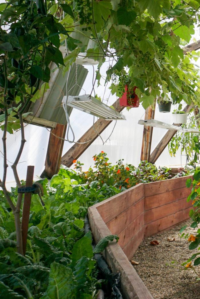 Grow Lights in a Growing Dome Greenhouse