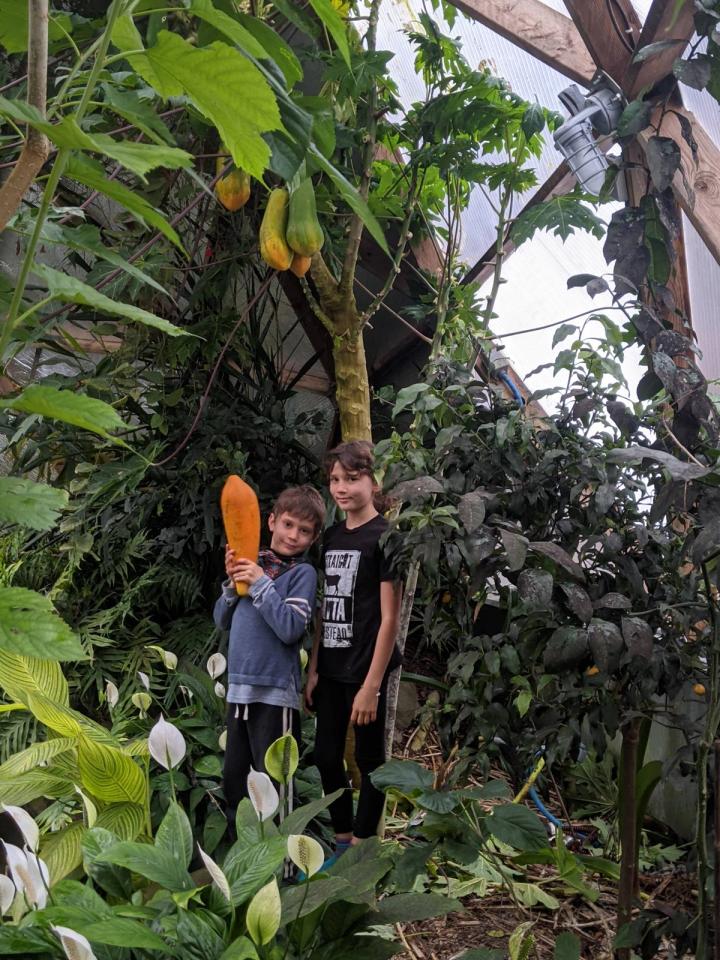 students in the school tropical greenhouse