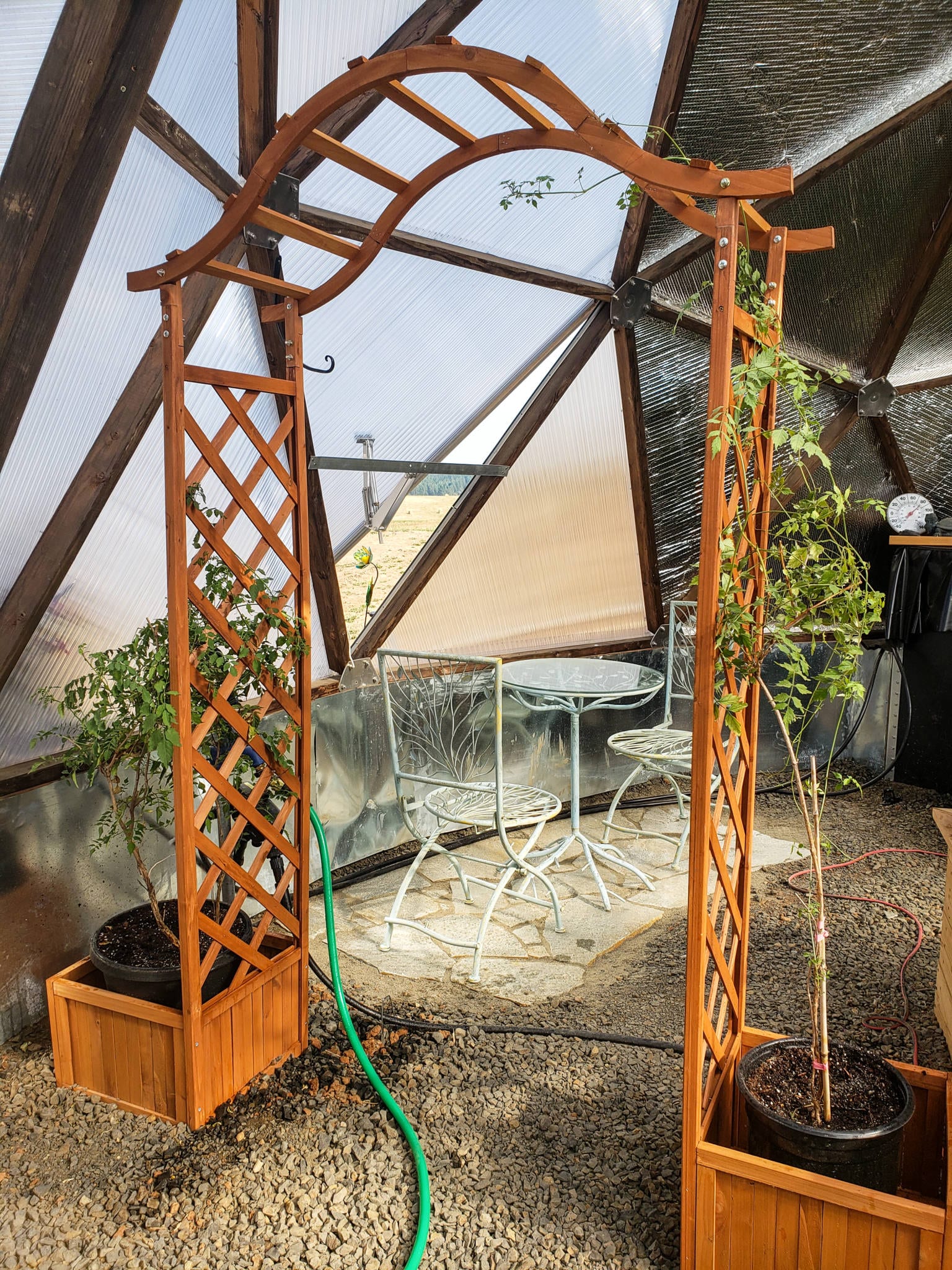 Trellis in the backyard greenhouse