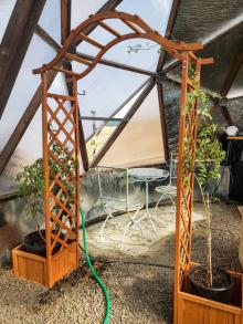 Trellis in the backyard greenhouse