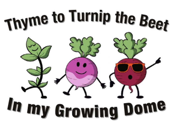 Thyme to turnip the beet