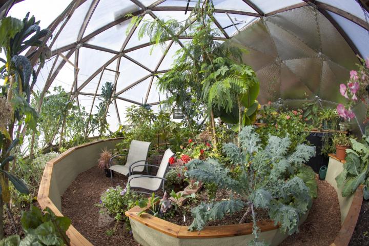 Inside a passive solar greenhouse