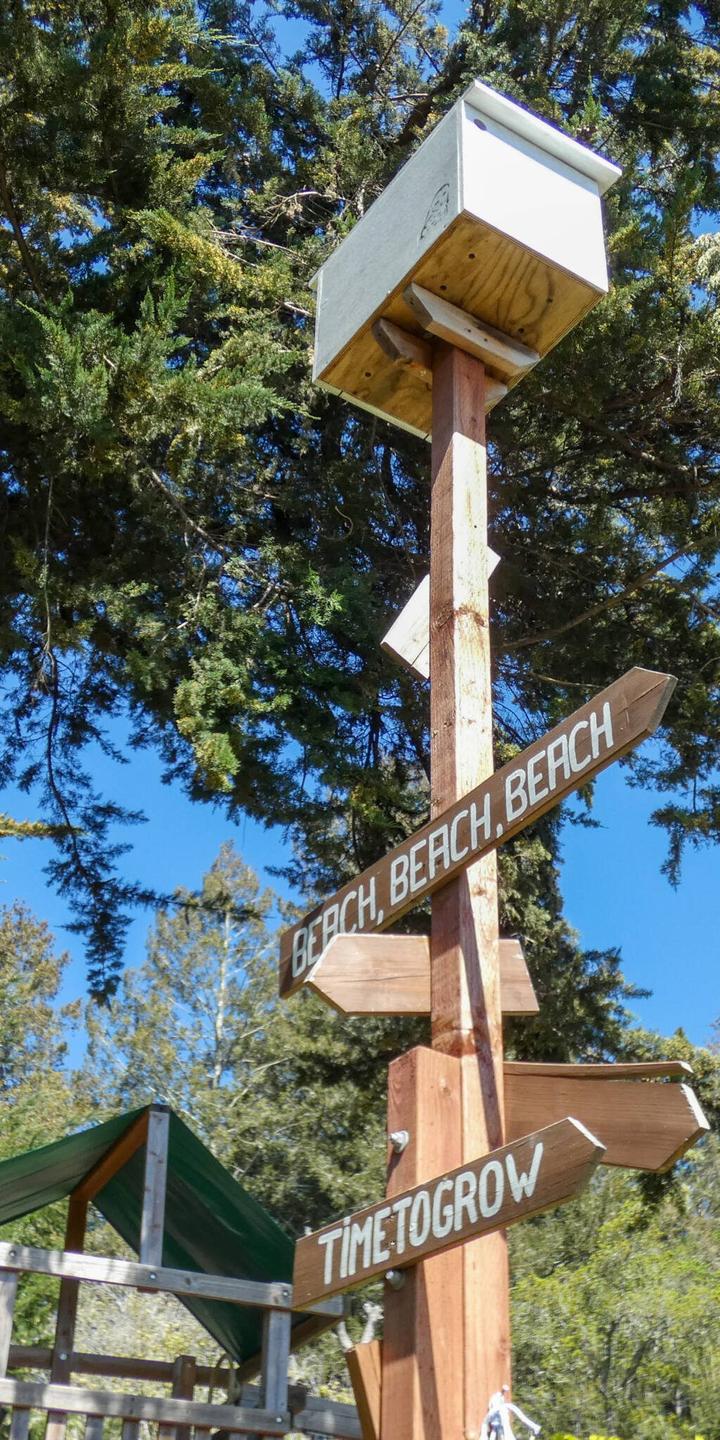Owl Box to Control Gophers