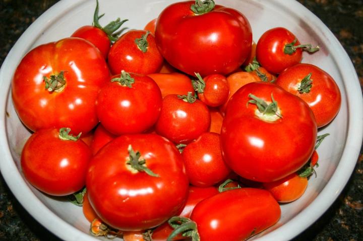 tomatoes